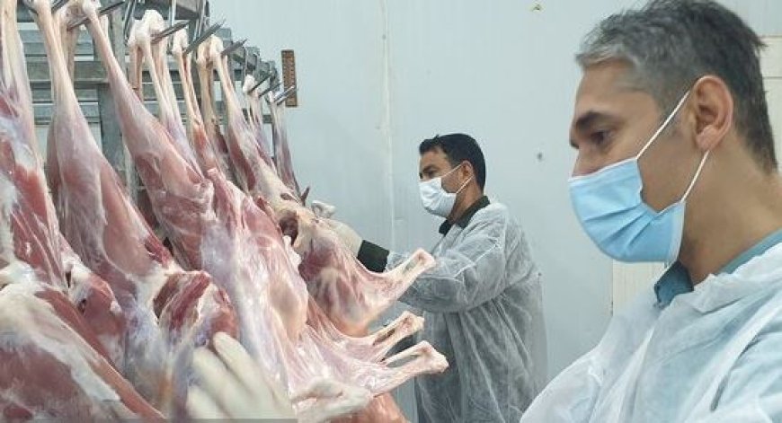 واکنش دامپزشکی گناوه به تعطیلی کشتارگاه سنتی دام