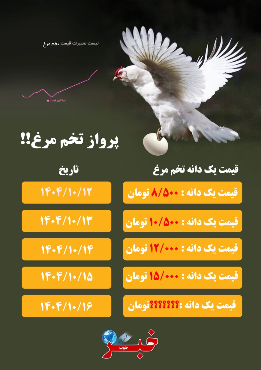پروازتخم مرغ!