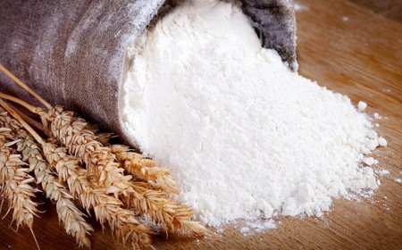 کشف بیش از ۴۲ تن آرد احتکار شده در فارس