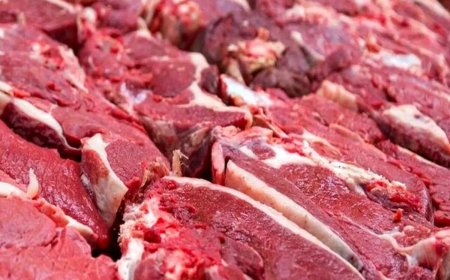قیمت گوشت قرمز امروز پنجشنبه ۱۶ بهمن ۱۴۰۴