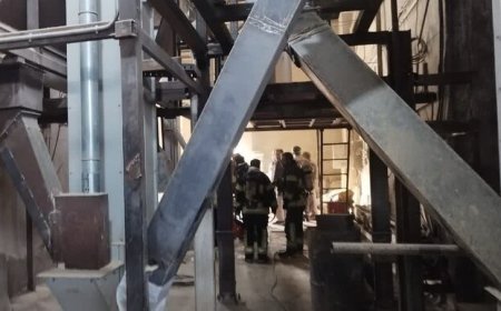 آتش‌سوزی در یک کارخانه تولید آرد در شیراز مهار شد