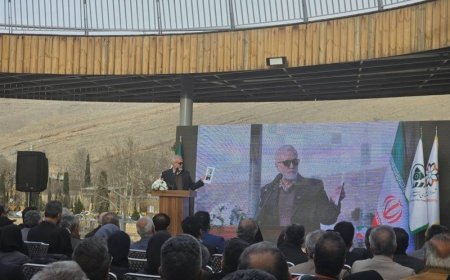 پل شاهد شیراز افتتاح شد