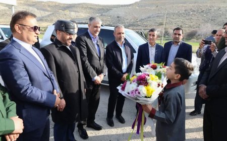 سفر معاون رئیس‌جمهور و رئیس سازمان انرژی اتمی به فیروزآباد فارس