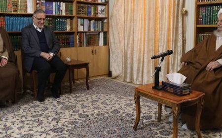 آیت‌الله مکارم شیرازی: با راهکارهای فرهنگی می‌توان مسائل اجتماعی را مدیریت کرد