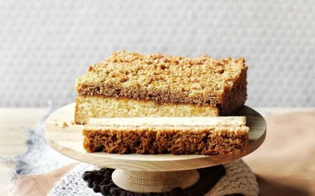 کیک دانمارکی ؛ خوشمزه و خوش بافت با دستور آسان