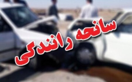 تصادف در محور اسیر به گله‌دار ۸ مصدوم بر جای گذاشت