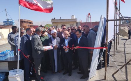 معاون وزیرجهاد کشاورزی :۱۰۰ اسکله در سواحل برای توسعه صنعت میگو وجود دارد
