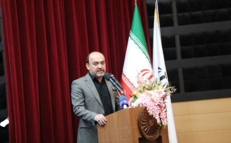 پیوند صنایع بزرگ با واحدهای کوچک، کلید توسعه پایدار بوشهر است