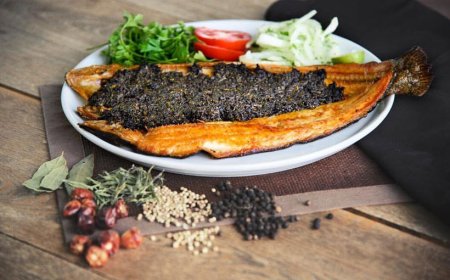 خواص ماهی برای بدن + نحوه طبخ و نکات نگهداری آن