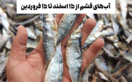 ممنوعیت صید در قشم به مدت یک ماه!
