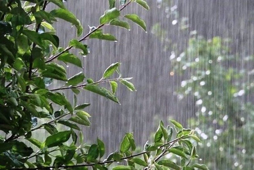 مجموع میزان بارش ها تا صبح امروز ساعت۱۰ در استان بوشهر