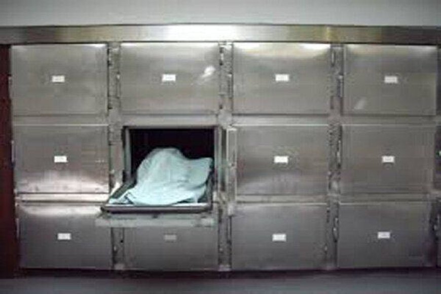 رسیدگی پزشکی قانونی کهگیلویه و بویراحمد به پرونده‌های معاینات بالینی