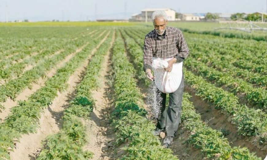 توزیع بیش از ۱۹ هزار تن کود کشاورزی در بوشهر