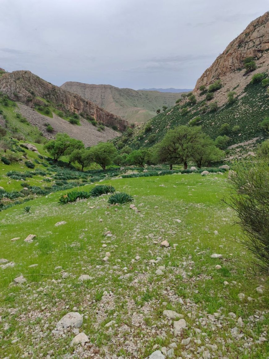 منظره زیبا منطقه پنتی - ایذه