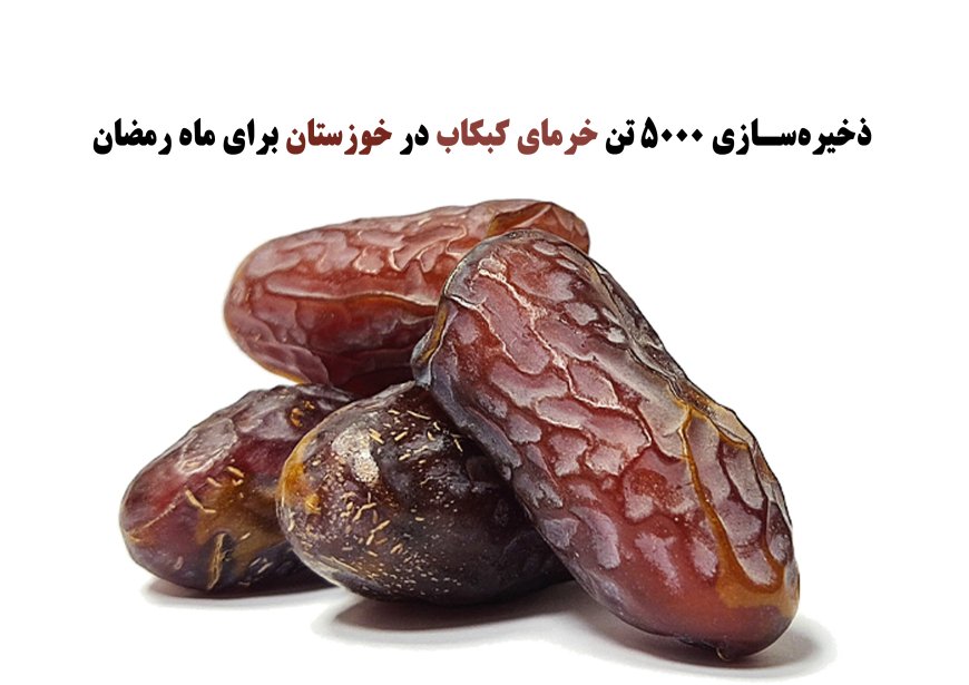 وضعیت صنعت خرما در خوزستان