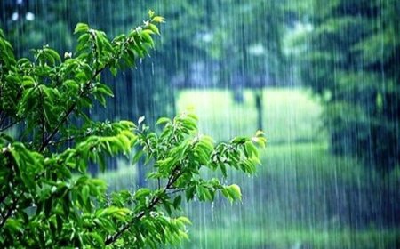 پیش‌بینی رگبار پراکنده باران هرمزگان