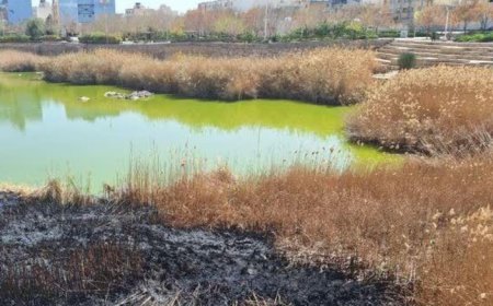 ماجرای اصابت موشک در پارک فروزان شیراز