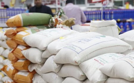 قیمت مصوب هر کیلو برنج ایرانی و خارجی اعلام شد