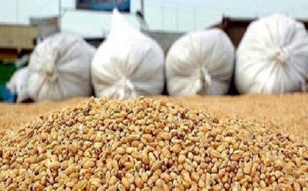 توزیع ۱۳۰۰ تن نهاده دامی از ابتدای جنگ کنونی در فارس