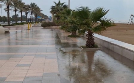 ورود سامانه بارشی به بوشهر؛ احتمال رگبار، رعد و برق و تگرگ