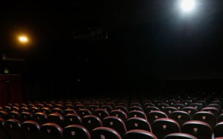پردیس سینمایی امین تارخ