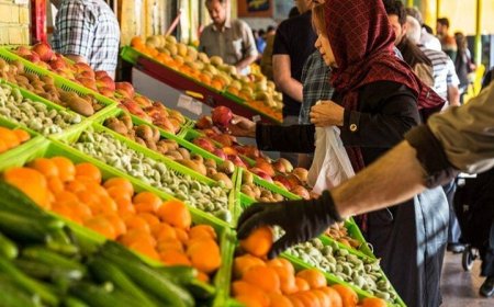 جزئیات توزیع میوه ایام پایانی سال در استان بوشهر