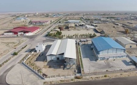 واحدهای صنعتی استان بوشهر مشمول تسهیلات حمایتی شدند