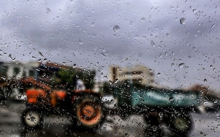 بوشهر بارانی می شود