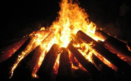 حوادث چهارشنبه‌آخرسال در استان بوشهر