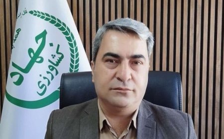 931 تن کالای اساسی در کهگیلویه و بویراحمد توزیع شد