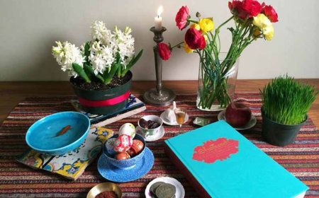 لطفا امسال هم سفره هفت سین بچینید/ چیدن هفت سین به معنای نادیده گرفتن غم‌ها نیست