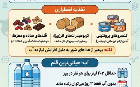 راهنمای علمی چیدمان کیف بقا