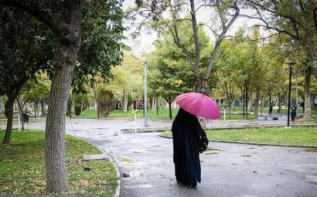 سامانه بارشی جدید وارد استان بوشهر می‌شود
