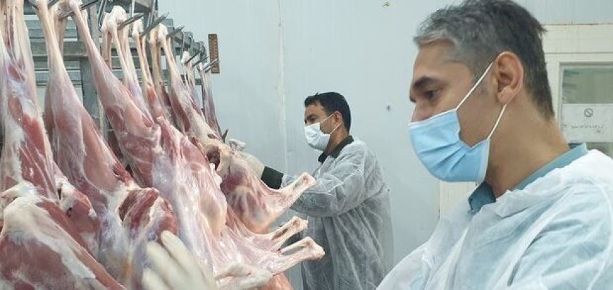 کشتارگاه‌های دام و طیور استان بوشهر