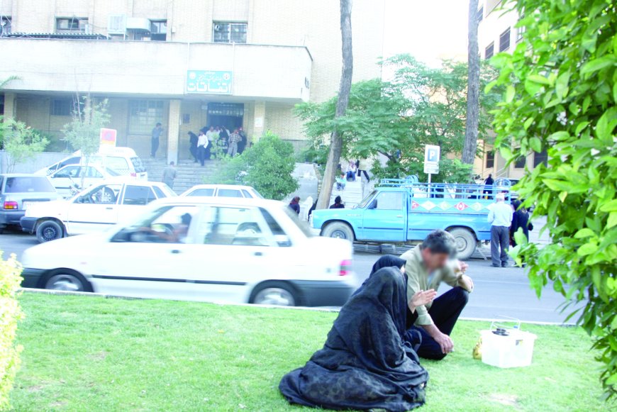 همراهان، دردمندتر از بیمار