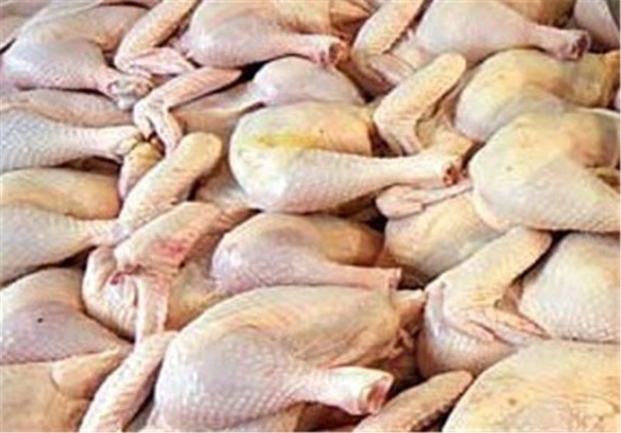 تداوم اجرای طرح تولید قراردادی گوشت مرغ گرم در فارس