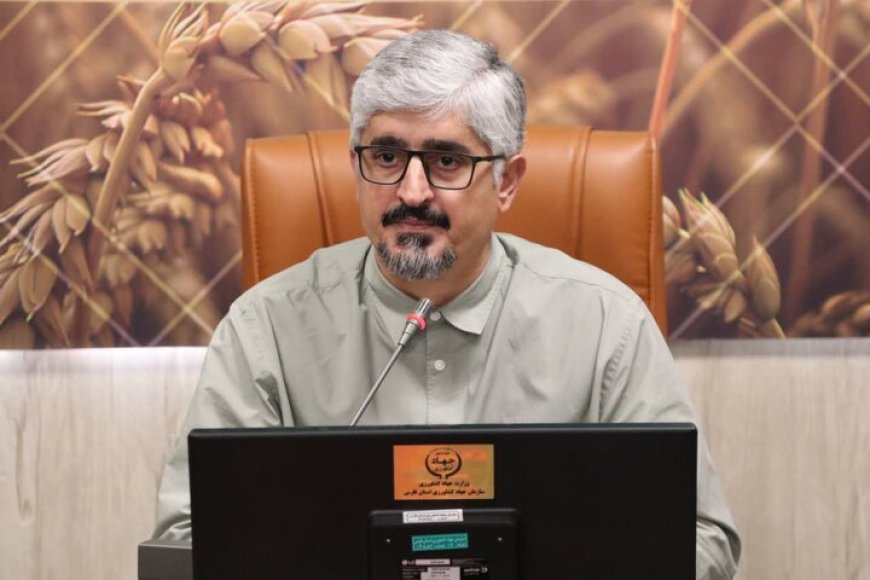 مدیریت جوجه‌ریزی و تأمین نهاده‌ها، محور کنترل بازار مرغ در فارس