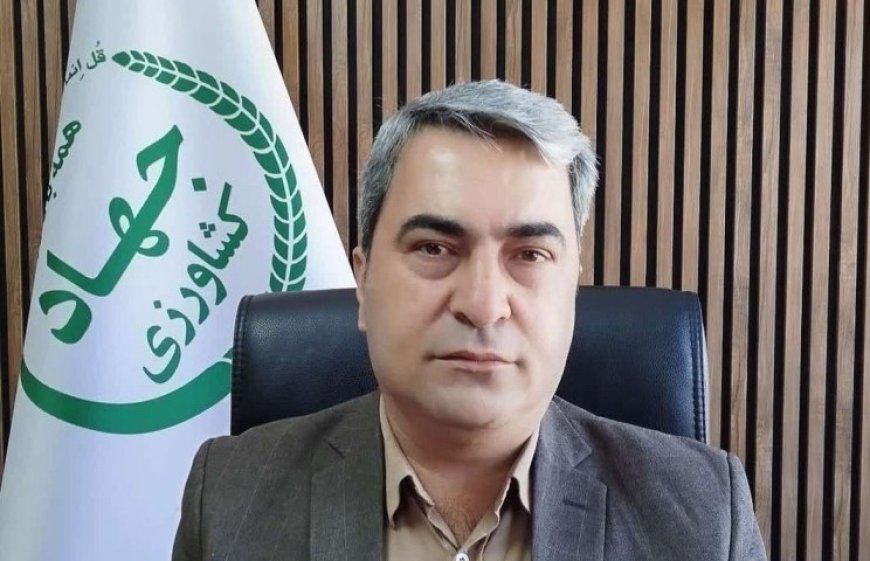 931 تن کالای اساسی در کهگیلویه و بویراحمد توزیع شد