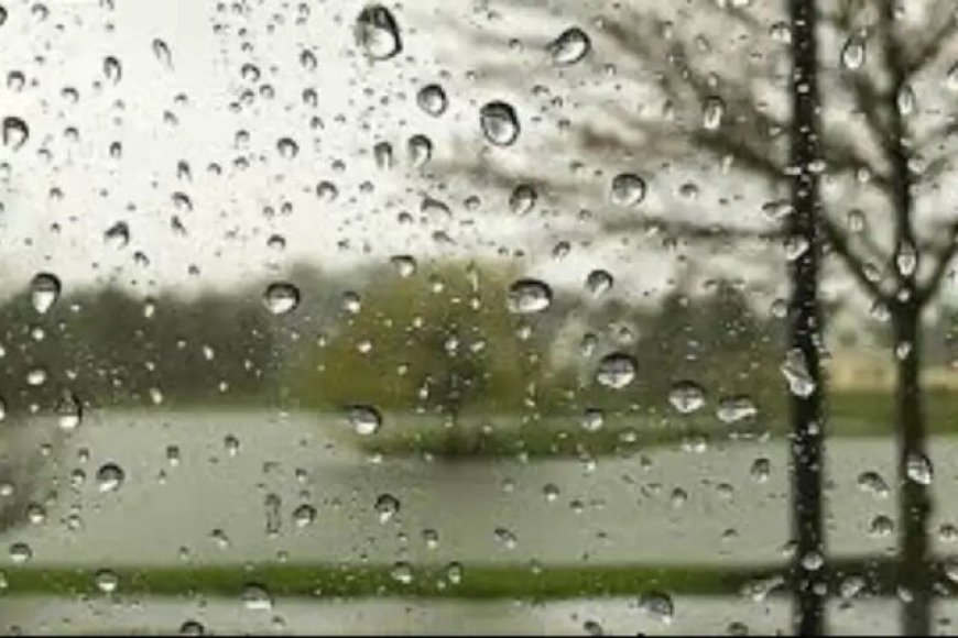 عامری رکورددار بارش در بوشهر