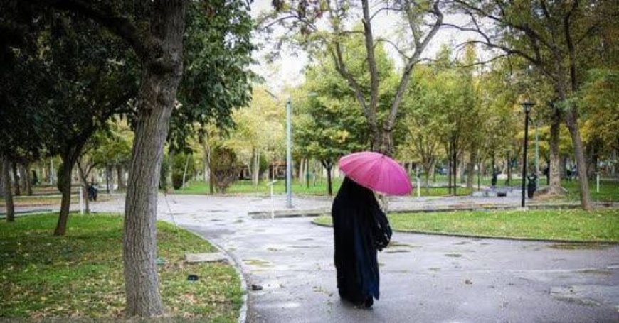 سامانه بارشی جدید وارد استان بوشهر می‌شود