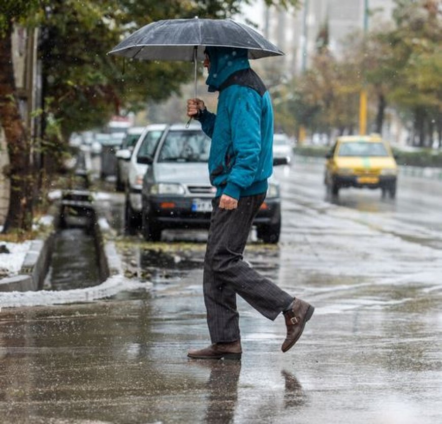 بارندگی در استان بوشهر تا فردا ادامه دارد