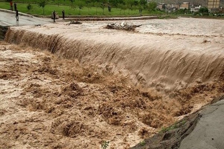 سیل در استان بوشهر
