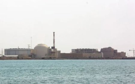 حملات مجدد به نیروگاه بوشهر