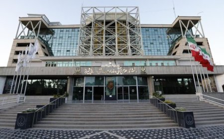 رتبه نخست کشوری دانشگاه علوم پزشکی شیراز در اهدای عضو