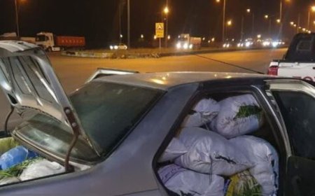توقیف ۴ محموله قاچاق سیر وحشی در عملیات مشترک در شمال خوزستان