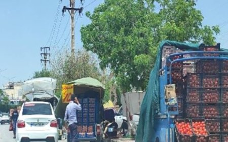 بی‌نظمی شهری در دوگنبدان؛از دکه‌های بدون مجوز تا تسخیر خیابان با وانت