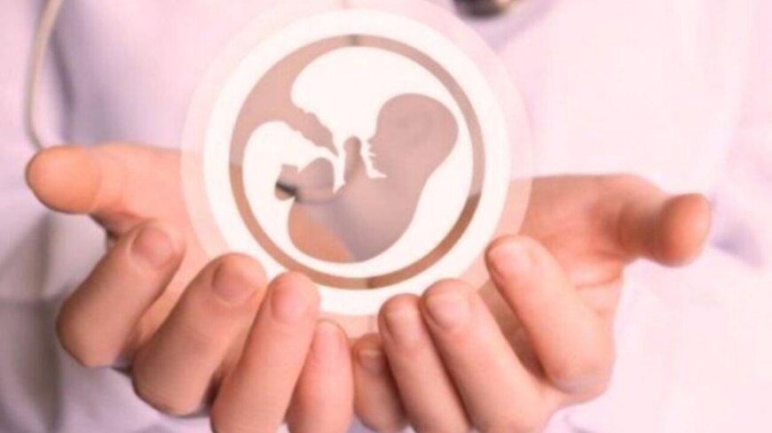 آوای زندگی؛ ۳۷ قلب کوچک نجات یافتند