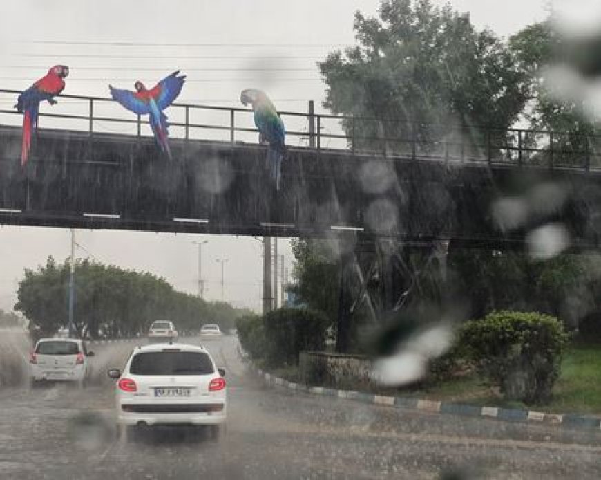 صدور ۲ هشدار هواشناسی مبنی بر فراگیر شدن بارندگی در خوزستان