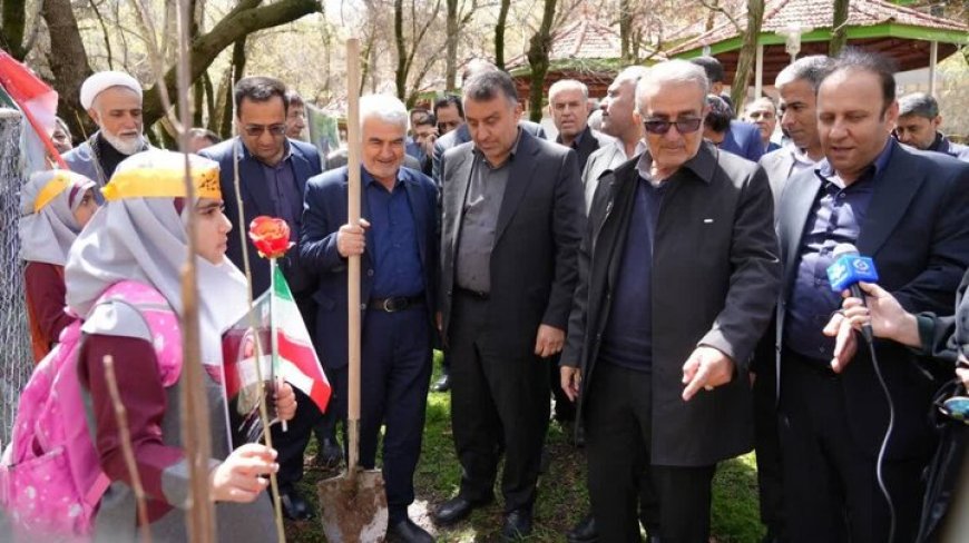 پویش درختکاری با یاد شهدای مدرسه میناب در کهگیلویه و بویراحمد برگزار شد