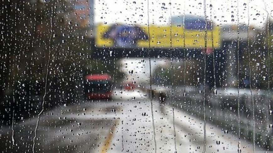 صدور هشدار دریایی سطح نارنجی برای سواحل بوشهر تا فردا